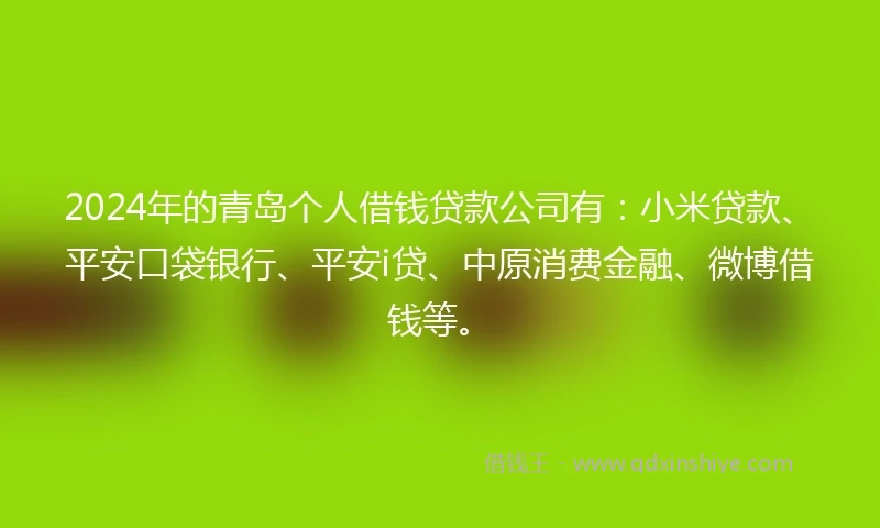 2024年的青岛个人借钱贷款公司有：小米贷款、平安口袋银行、平安i贷、中原消费金融、微博借钱等。