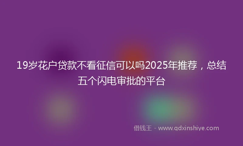 19岁花户贷款不看征信可以吗2025年推荐，总结五个闪电审批的平台