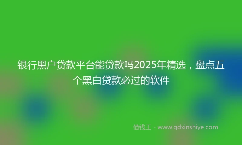 银行黑户贷款平台能贷款吗2025年精选，盘点五个黑白贷款必过的软件