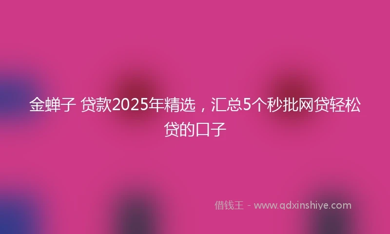 金蝉子 贷款2025年精选，汇总5个秒批网贷轻松贷的口子