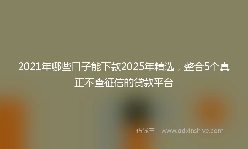 2021年哪些口子能下款2025年精选，整合5个真正不查征信的贷款平台