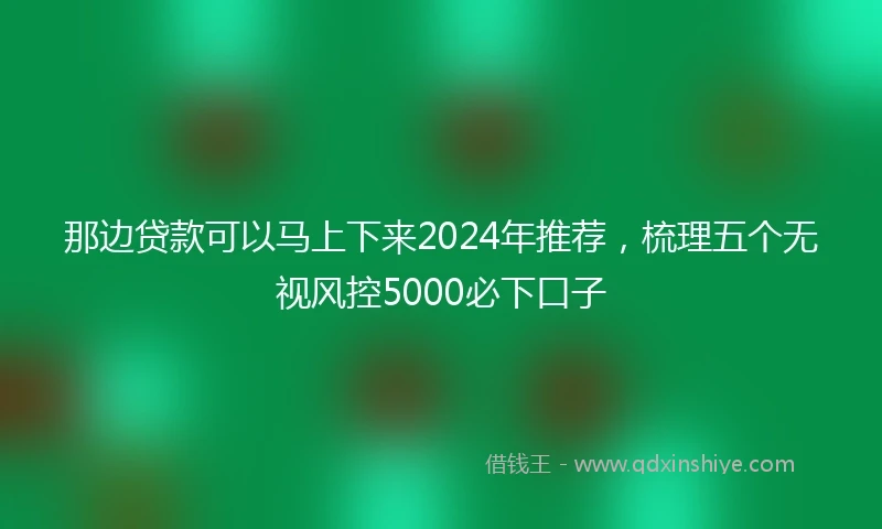 那边贷款可以马上下来2024年推荐，梳理五个无视风控5000必下口子