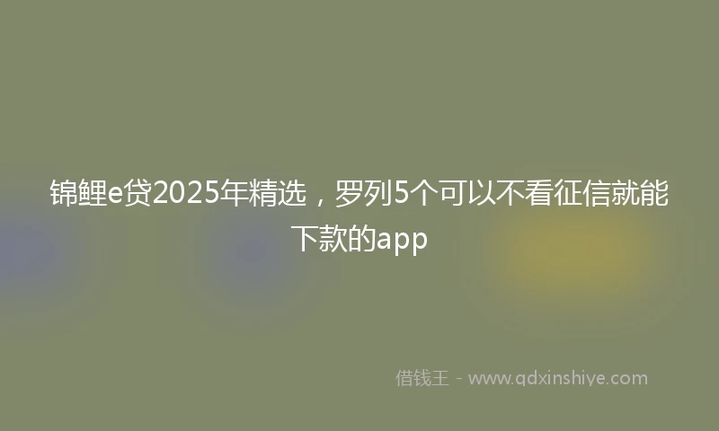 锦鲤e贷2025年精选，罗列5个可以不看征信就能下款的app