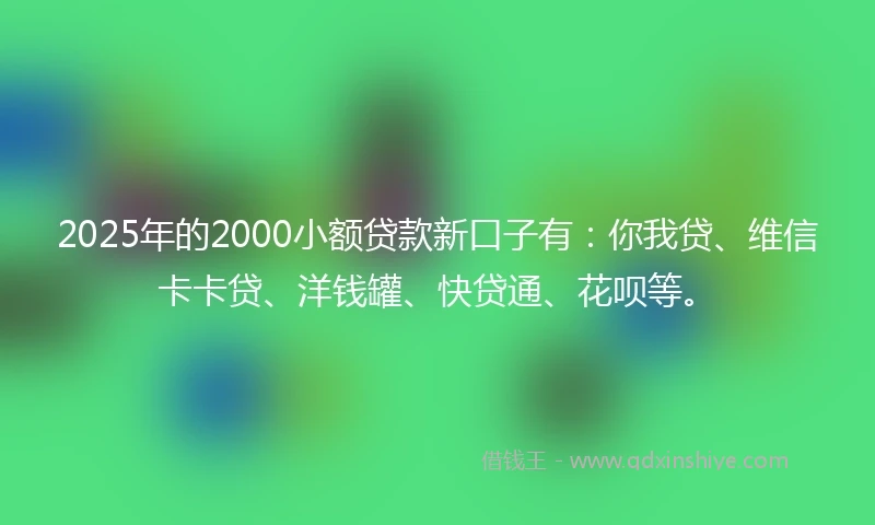 2025年的2000小额贷款新口子有：你我贷、维信卡卡贷、洋钱罐、快贷通、花呗等。