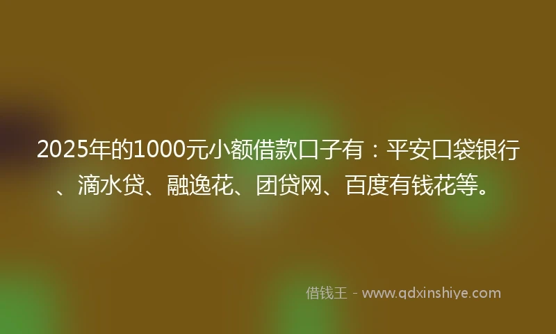 2025年的1000元小额借款口子有：平安口袋银行、滴水贷、融逸花、团贷网、百度有钱花等。