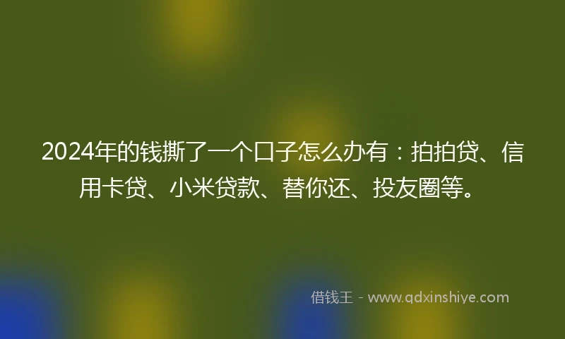 2024年的钱撕了一个口子怎么办有：拍拍贷、信用卡贷、小米贷款、替你还、投友圈等。