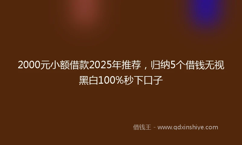 2000元小额借款2025年推荐，归纳5个借钱无视黑白100%秒下口子
