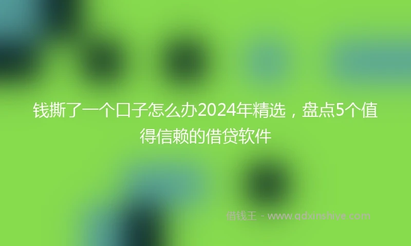 钱撕了一个口子怎么办2024年精选，盘点5个值得信赖的借贷软件