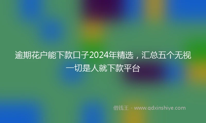 逾期花户能下款口子2024年精选，汇总五个无视一切是人就下款平台