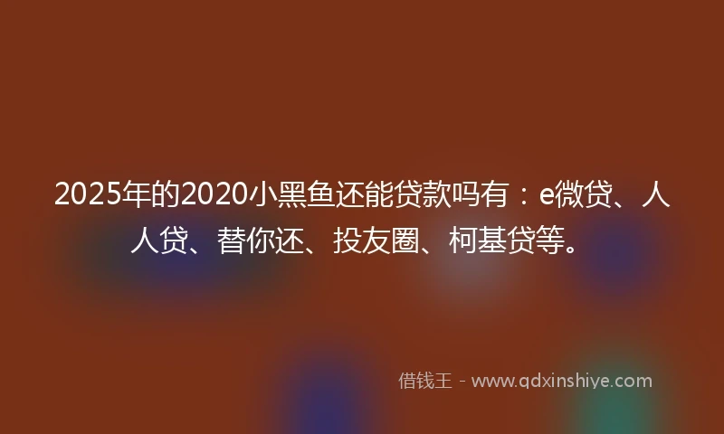 2025年的2020小黑鱼还能贷款吗有：e微贷、人人贷、替你还、投友圈、柯基贷等。
