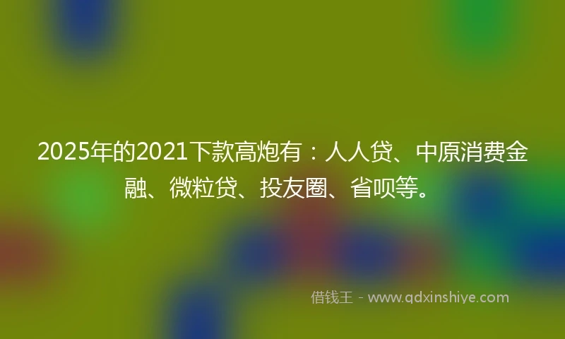 2025年的2021下款高炮有：人人贷、中原消费金融、微粒贷、投友圈、省呗等。