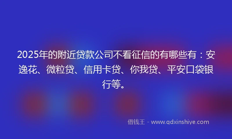 2025年的附近贷款公司不看征信的有哪些有：安逸花、微粒贷、信用卡贷、你我贷、平安口袋银行等。