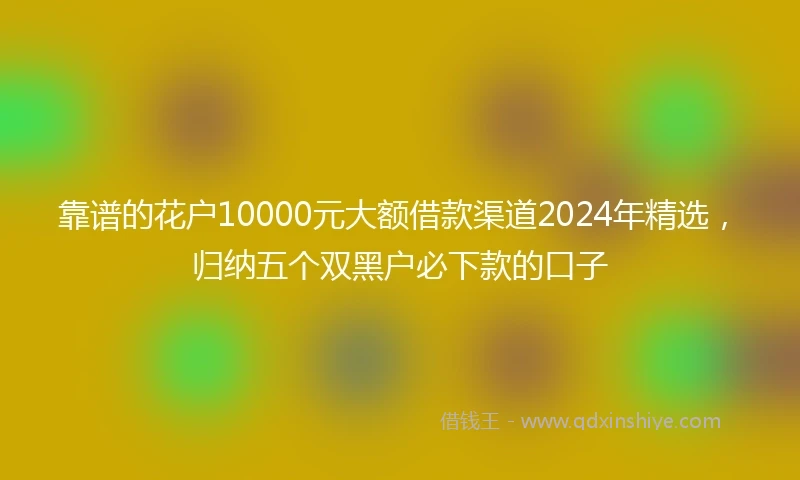 靠谱的花户10000元大额借款渠道2024年精选，归纳五个双黑户必下款的口子