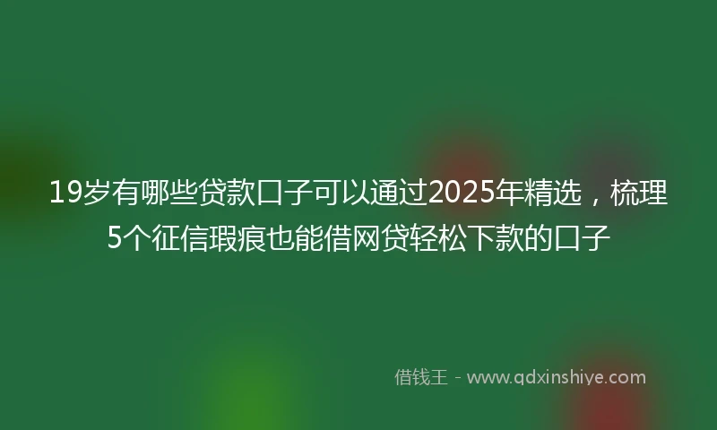 19岁有哪些贷款口子可以通过2025年精选，梳理5个征信瑕疵也能借网贷轻松下款的口子