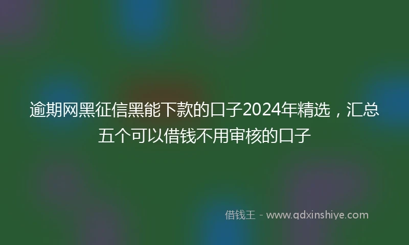 逾期网黑征信黑能下款的口子2024年精选，汇总五个可以借钱不用审核的口子