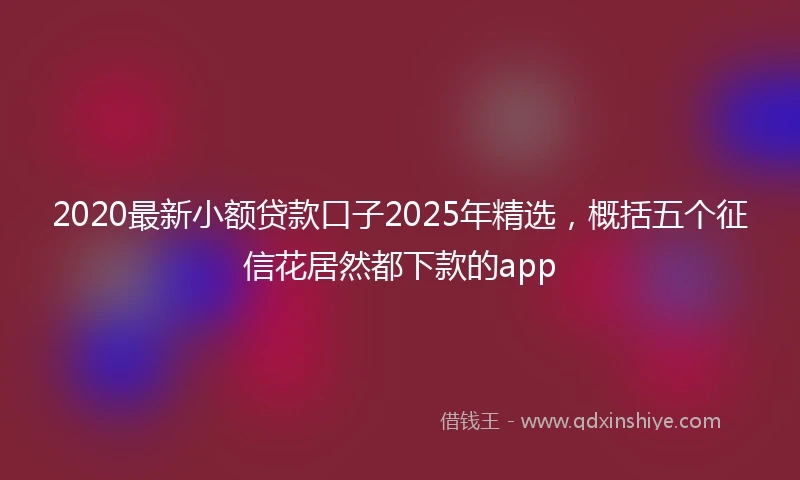 2020最新小额贷款口子2025年精选，概括五个征信花居然都下款的app