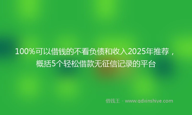 100%可以借钱的不看负债和收入2025年推荐，概括5个轻松借款无征信记录的平台