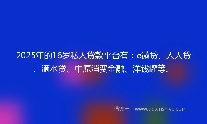 2025年的16岁私人贷款平台有：e微贷、人人贷、滴水贷、中原消费金融、洋钱罐等。