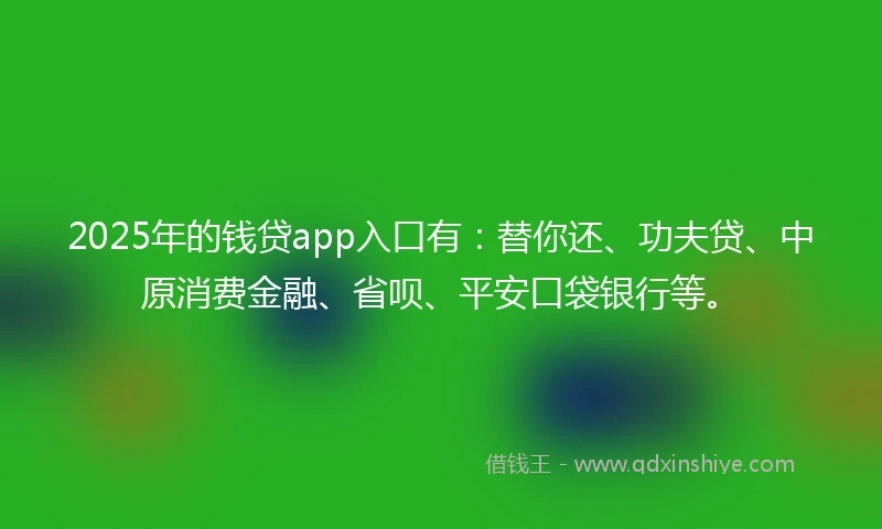 2025年的钱贷app入口有：替你还、功夫贷、中原消费金融、省呗、平安口袋银行等。