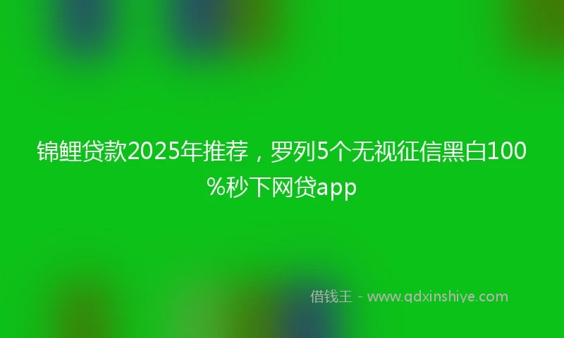 锦鲤贷款2025年推荐，罗列5个无视征信黑白100%秒下网贷app