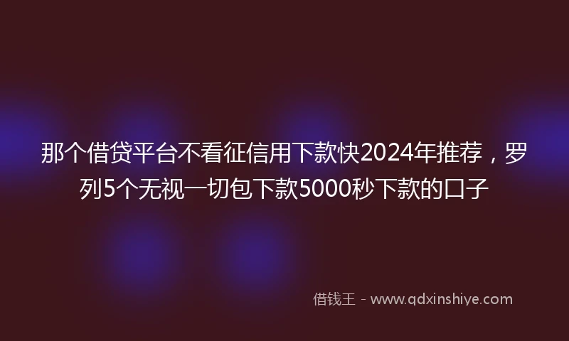 那个借贷平台不看征信用下款快2024年推荐，罗列5个无视一切包下款5000秒下款的口子