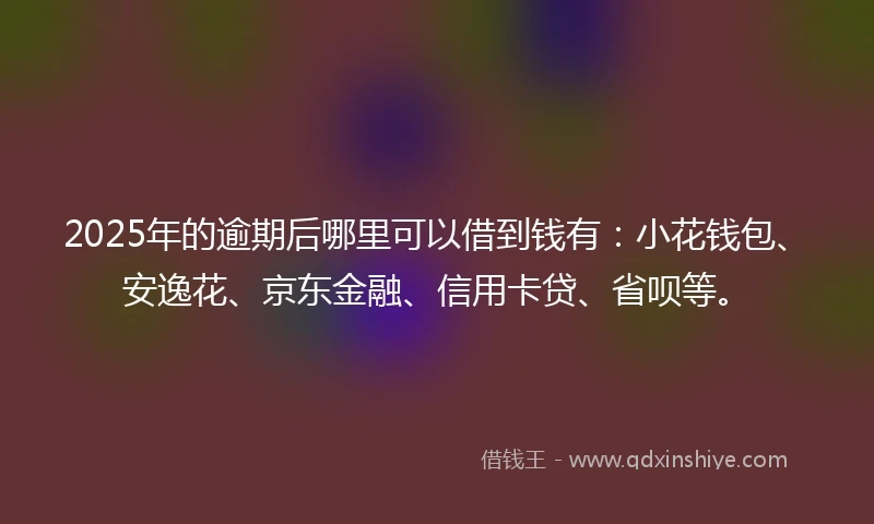 2025年的逾期后哪里可以借到钱有：小花钱包、安逸花、京东金融、信用卡贷、省呗等。