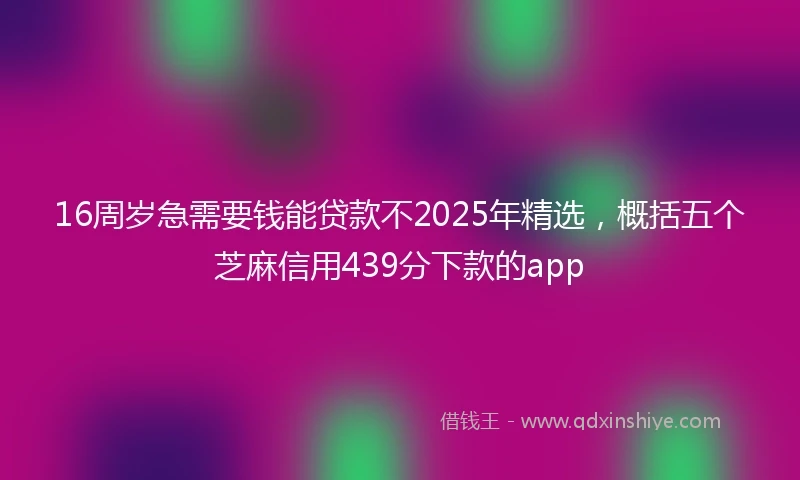 16周岁急需要钱能贷款不2025年精选，概括五个芝麻信用439分下款的app
