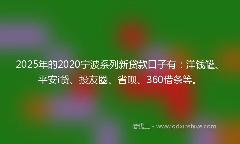 2025年的2020宁波系列新贷款口子有：洋钱罐、平安i贷、投友圈、省呗、360借条等。