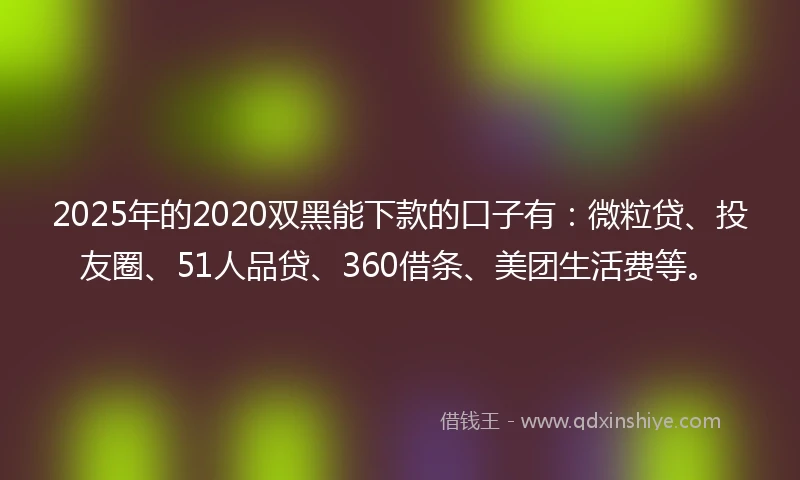 2025年的2020双黑能下款的口子有：微粒贷、投友圈、51人品贷、360借条、美团生活费等。