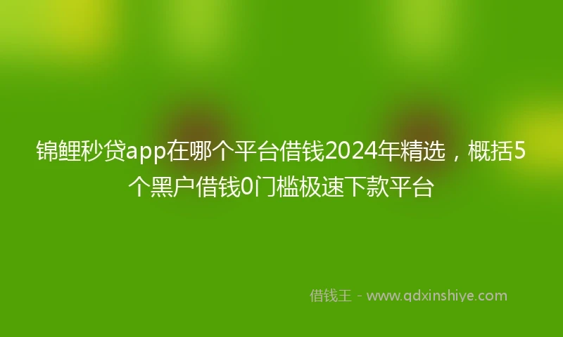 锦鲤秒贷app在哪个平台借钱2024年精选，概括5个黑户借钱0门槛极速下款平台