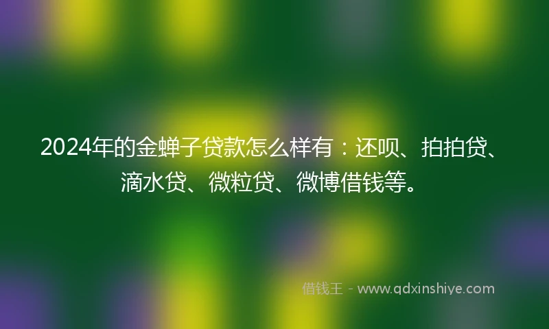 2024年的金蝉子贷款怎么样有：还呗、拍拍贷、滴水贷、微粒贷、微博借钱等。