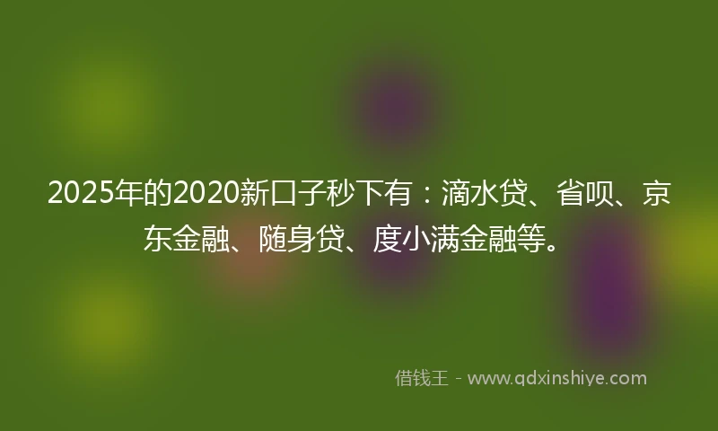 2025年的2020新口子秒下有：滴水贷、省呗、京东金融、随身贷、度小满金融等。