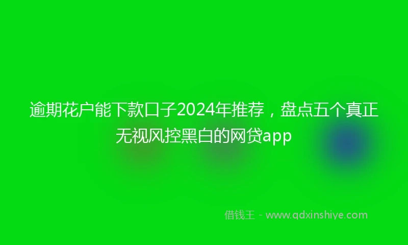 逾期花户能下款口子2024年推荐，盘点五个真正无视风控黑白的网贷app