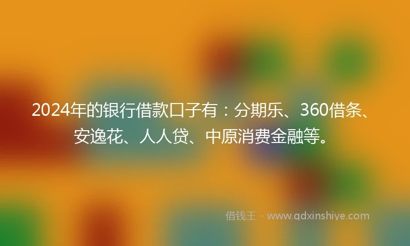 2024年的银行借款口子有：分期乐、360借条、安逸花、人人贷、中原消费金融等。