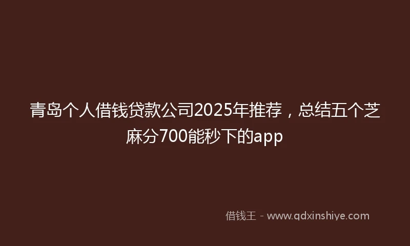 青岛个人借钱贷款公司2025年推荐，总结五个芝麻分700能秒下的app