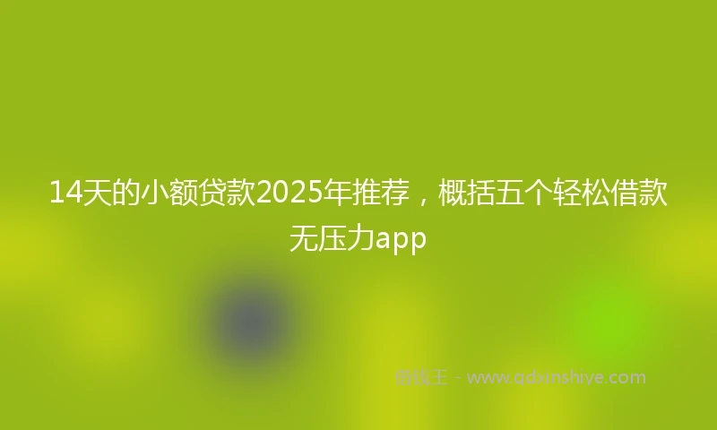 14天的小额贷款2025年推荐，概括五个轻松借款无压力app
