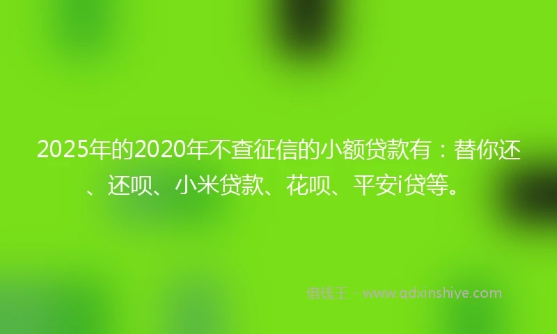 2025年的2020年不查征信的小额贷款有：替你还、还呗、小米贷款、花呗、平安i贷等。