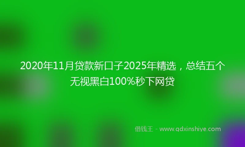 2020年11月贷款新口子2025年精选，总结五个无视黑白100%秒下网贷