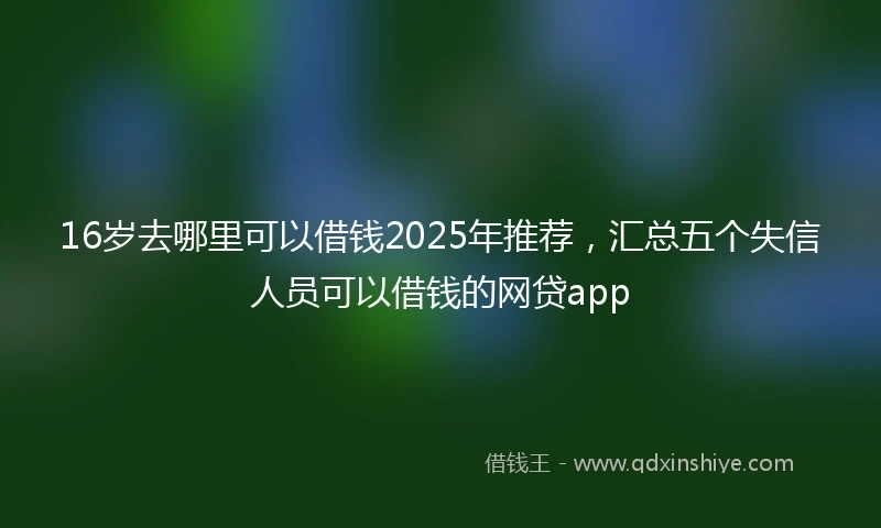 16岁去哪里可以借钱2025年推荐，汇总五个失信人员可以借钱的网贷app