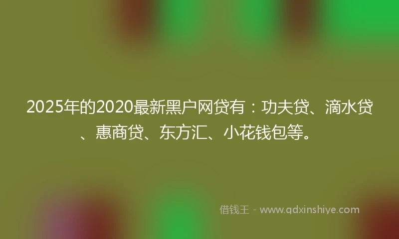 2025年的2020最新黑户网贷有：功夫贷、滴水贷、惠商贷、东方汇、小花钱包等。