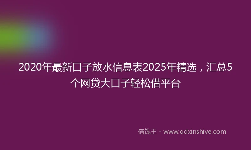 2020年最新口子放水信息表2025年精选，汇总5个网贷大口子轻松借平台