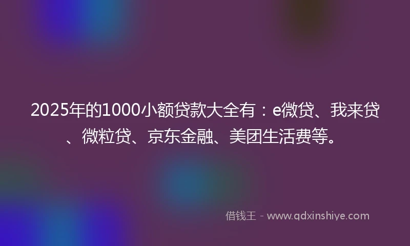 2025年的1000小额贷款大全有：e微贷、我来贷、微粒贷、京东金融、美团生活费等。