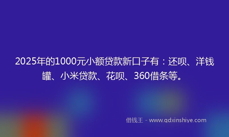 2025年的1000元小额贷款新口子有：还呗、洋钱罐、小米贷款、花呗、360借条等。