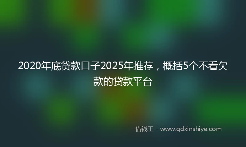 2020年底贷款口子2025年推荐，概括5个不看欠款的贷款平台