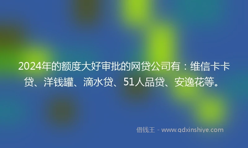 2024年的额度大好审批的网贷公司有：维信卡卡贷、洋钱罐、滴水贷、51人品贷、安逸花等。