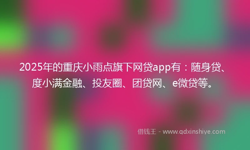 2025年的重庆小雨点旗下网贷app有：随身贷、度小满金融、投友圈、团贷网、e微贷等。