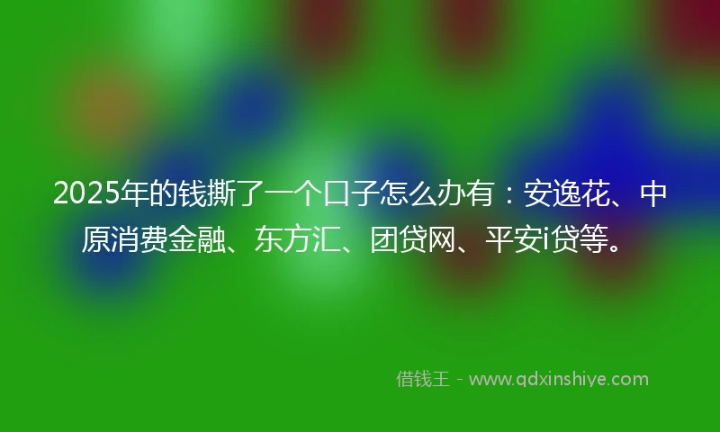 2025年的钱撕了一个口子怎么办有：安逸花、中原消费金融、东方汇、团贷网、平安i贷等。