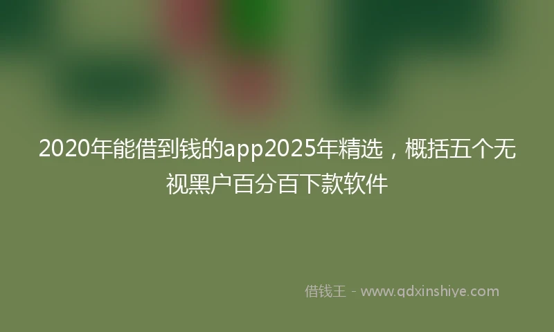 2020年能借到钱的app2025年精选，概括五个无视黑户百分百下款软件