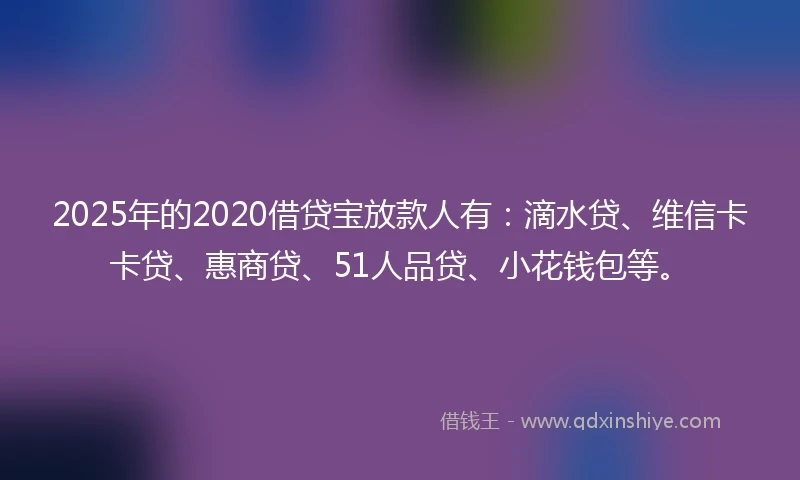 2025年的2020借贷宝放款人有：滴水贷、维信卡卡贷、惠商贷、51人品贷、小花钱包等。