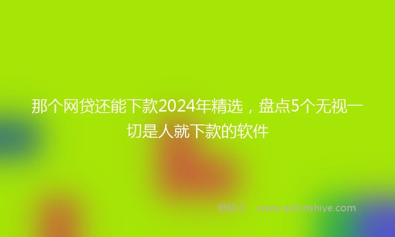 那个网贷还能下款2024年精选，盘点5个无视一切是人就下款的软件
